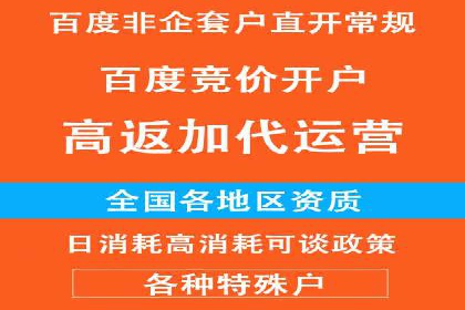 百度竞价推广运营策略解析与实战案例
